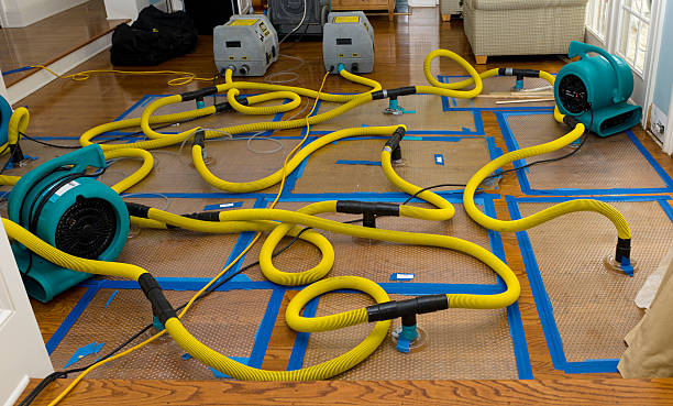 Professional Storm Water Damage Restoration technician working in Pembroke, GA